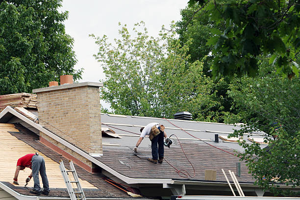 Best Roof Ventilation Installation  in Affton, MO