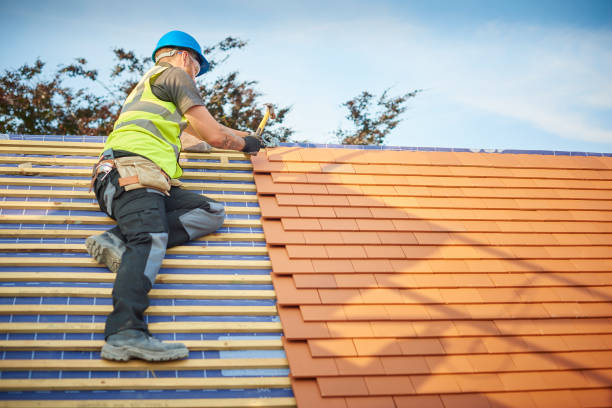 Best Asphalt Shingle Roofing  in Affton, MO